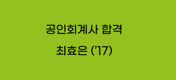 최효은 회계사